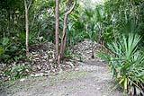 Muyil Ruins Mexico Feb 14 2018
